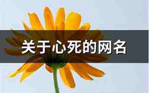 心死了的网名
