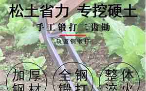 二齿钉耙歇后语
