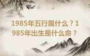 1985年出生是什么命