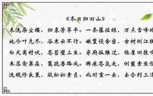 写一生真情寄托的诗或句子迷