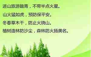 关于森林防火的句子