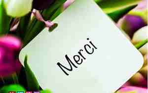 merci是什么意思