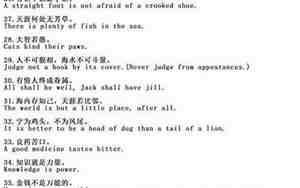 带二的优美句子