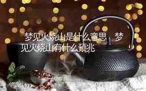 梦见大火烧山是什么意思