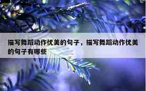 感受生动优美的句子教学实录