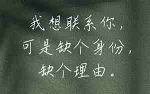 表示很在意句子