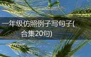 仿照写一句农家场句子
