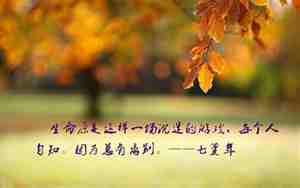 唯美对话句子图片
