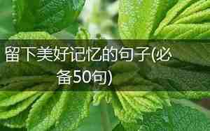 留下美好记忆的句子