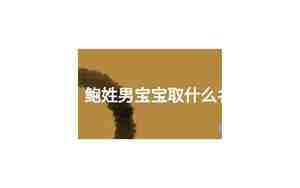 鲍姓男宝宝名字