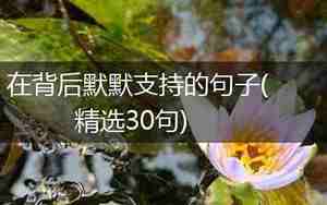 默默支持的句子