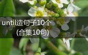 汇合可以造什么句子
