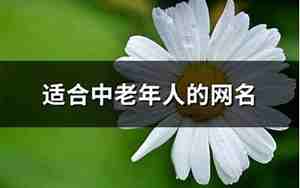 中老年网名