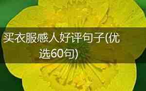 深受好评句子