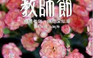用诗句赞美老师的句子