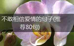 不敢相信爱情的句子