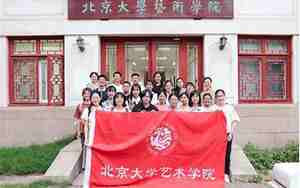 北京大学艺术学院