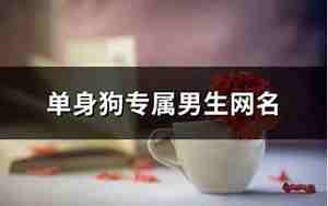 单身狗网名男
