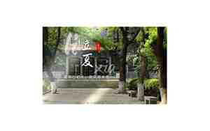 山东大学本科生院