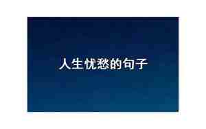 忧愁的神情句子