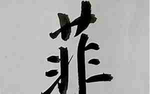 菲的网名