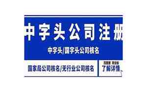平字开头的公司名字