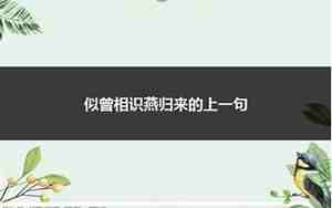 似曾相识燕归来上一句