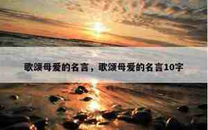 关于母爱的句子