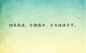 飘影的唯美句子