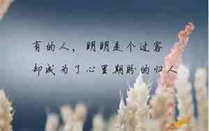 关于友谊不变的句子