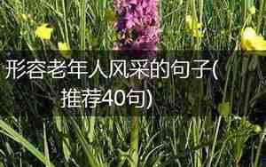 形容老年人风采的句子