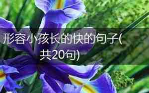 孩子长的快的句子
