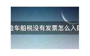 汽车保险税