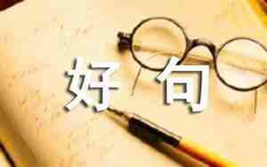 对摘抄好句子的感悟