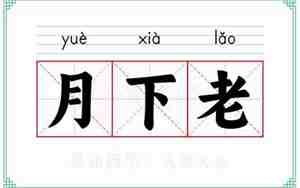 月下老人造句子