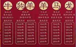 2013年是什么命
