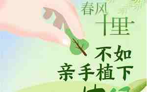 求给坟茔植树的句子