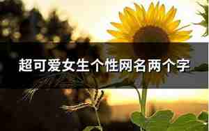 女生网名个性