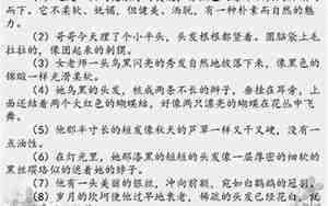 猫写人物外貌的句子有哪些