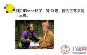 苹果的搞笑句子