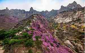 黄岛开发区旅游景点