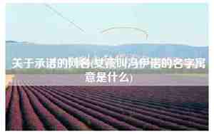 关于诺的网名