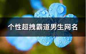 个性霸道网名