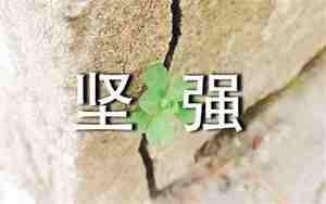 形容小草坚强的短句子