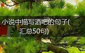 描写酒吧外部的句子