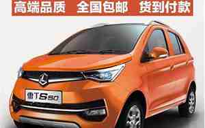 雷丁电动汽车s50价格