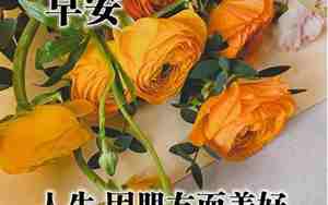 早上好简单的句子大全