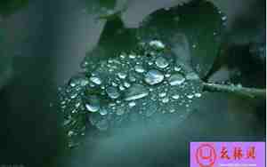 细雨蒙蒙的伤感句子