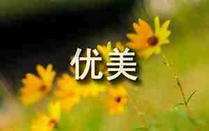 赞美城市的句子