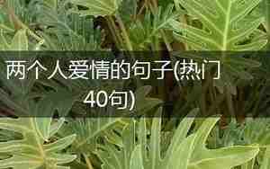 写两个人爱情的句子